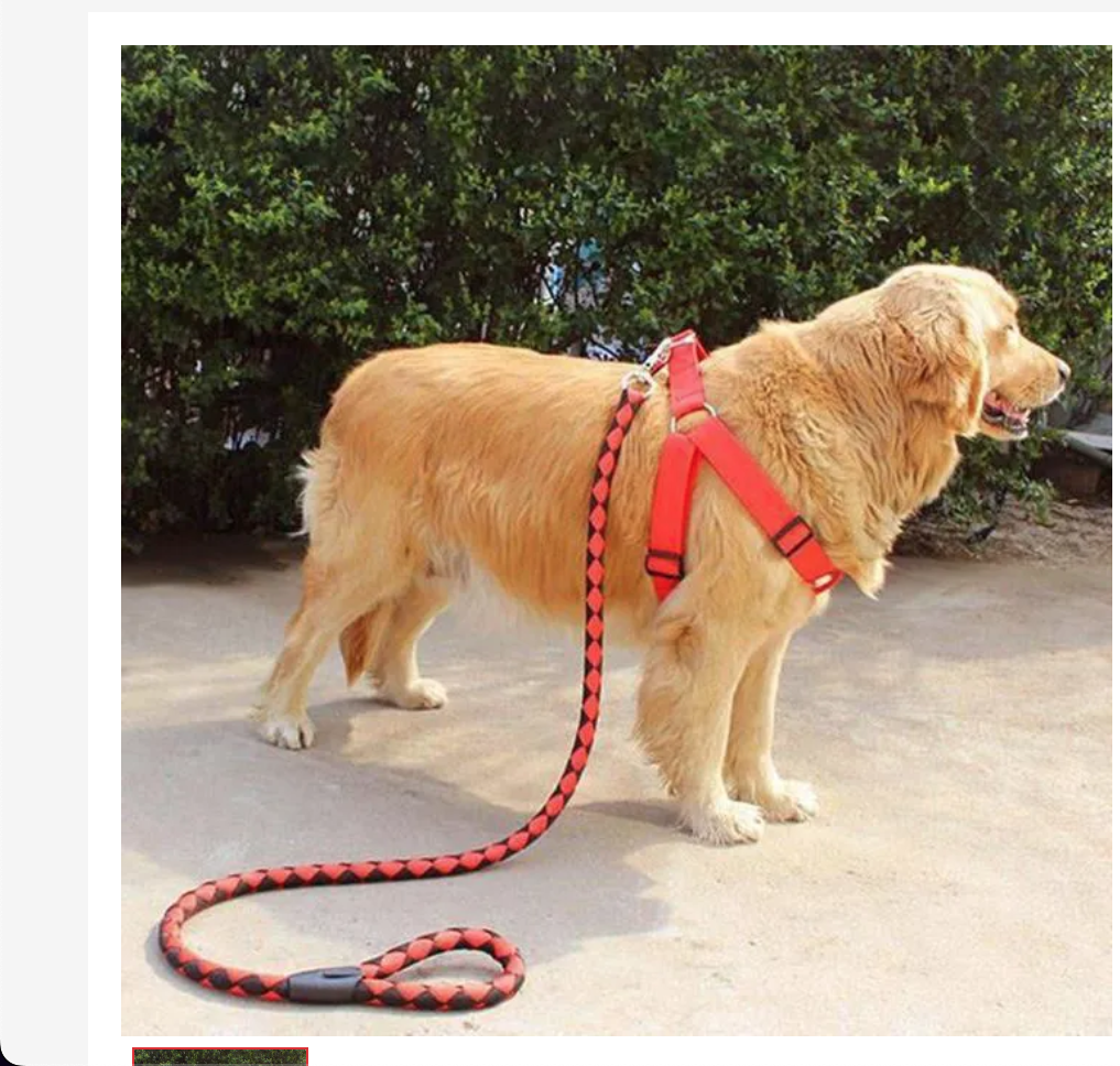 High Quality Nylon Dog Harness & Double Layer Leash