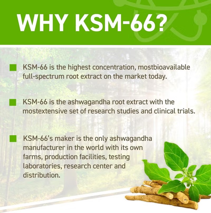 Applied Nutrition Ashwagandha KSM-66 Capsules, High Strength Adaptogen Extract for Stress Support, Mood Balance & Energy, Highly Bioavailable Herbal Supplement Capsules