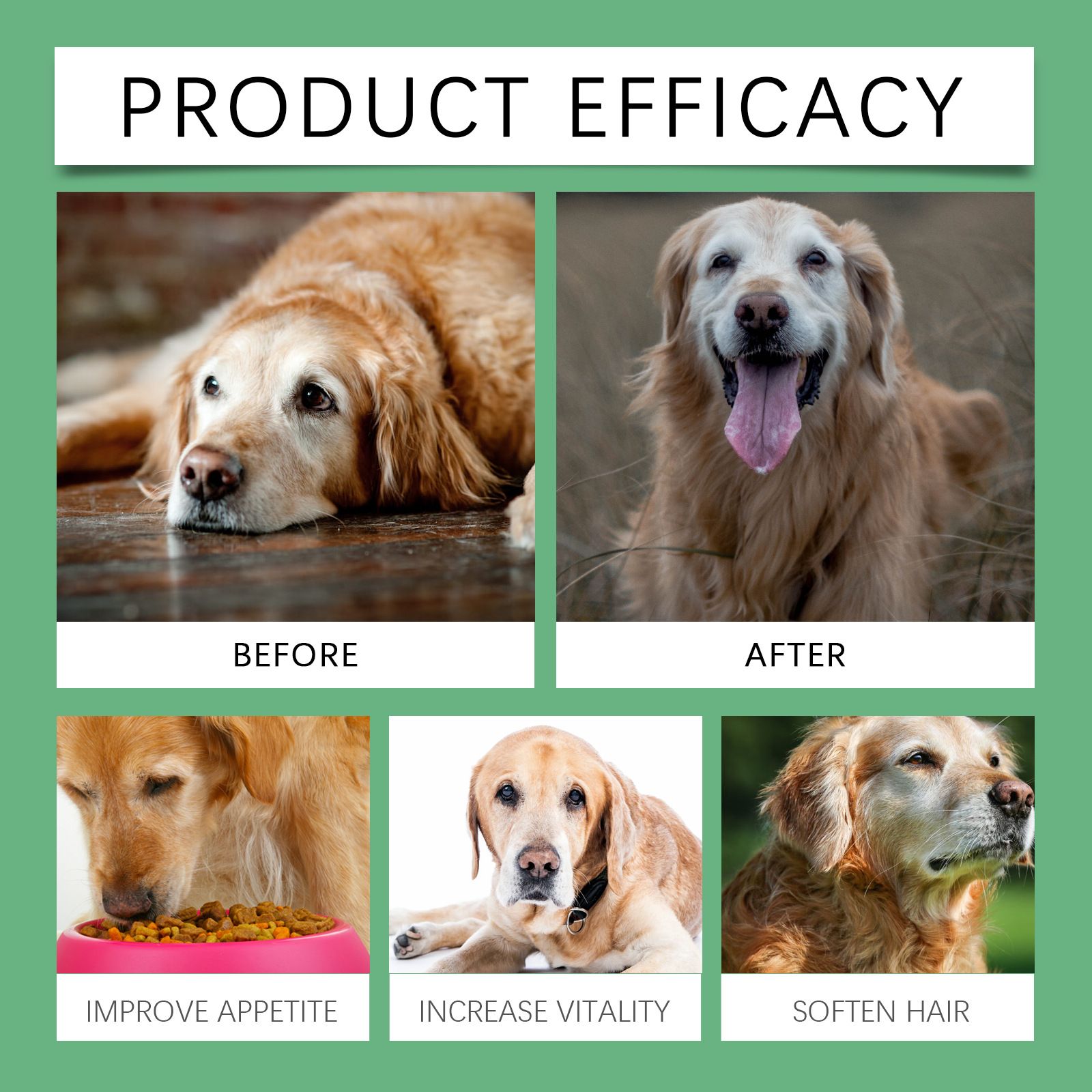 YEGBONG   Vitamin Tablets for Adult Dogs Dog and Pet Body Care  Vitamin  Tablets