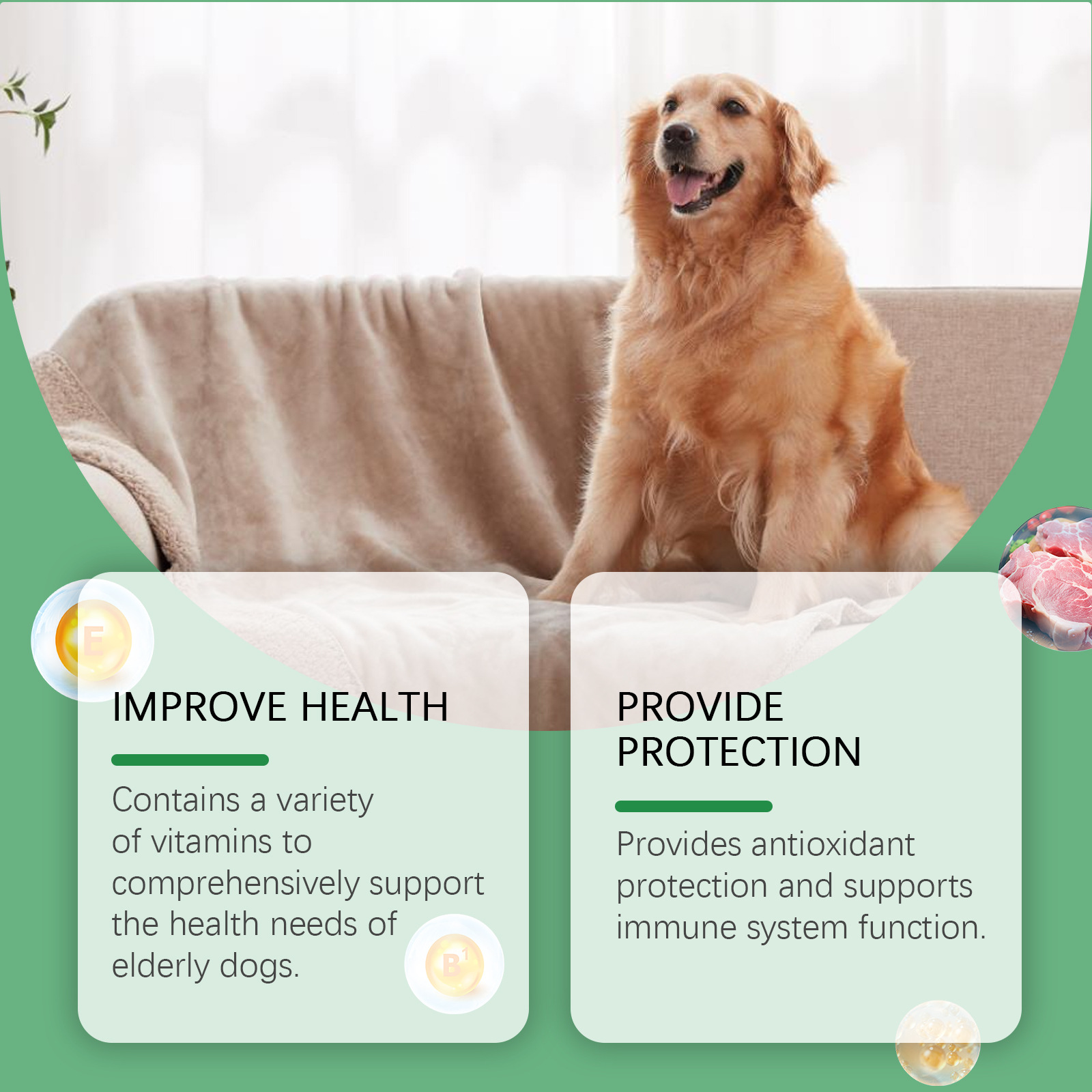 YEGBONG   Vitamin Tablets for Adult Dogs Dog and Pet Body Care  Vitamin  Tablets