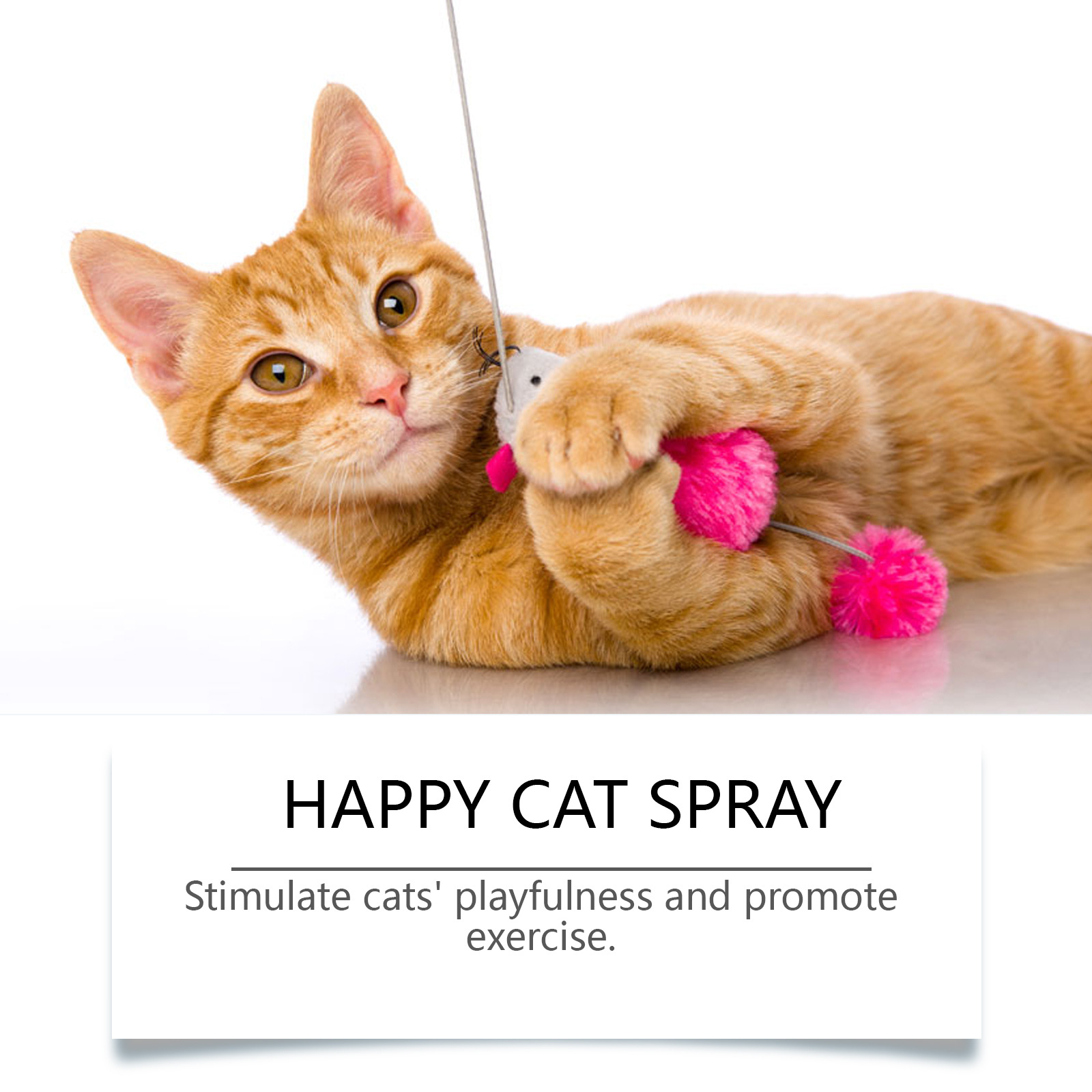 EelJoy catnip spray, long-lasting fragrance, chewing rope, scratch-resistant, increases pet power, amusing mint
