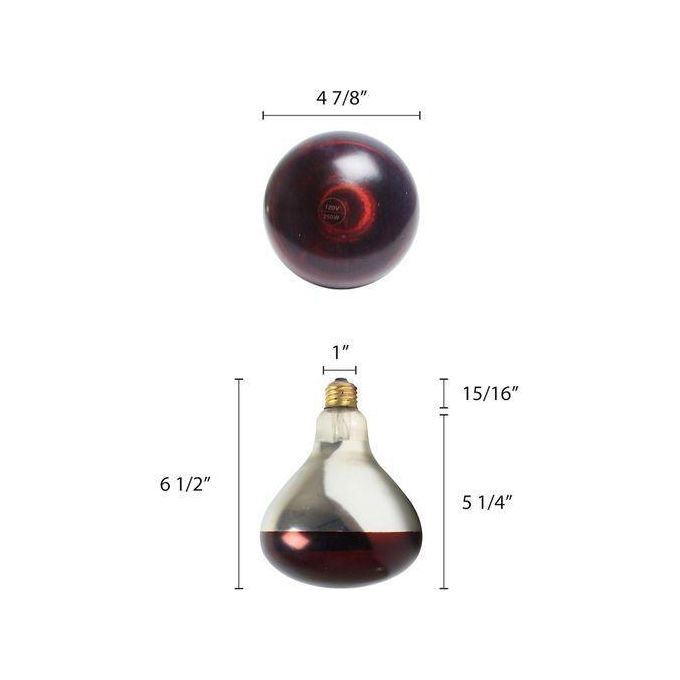 Infrared Red Heat Lamp Bulb for Chicks & Piglets – Poultry Brooder Incubator Bulb with 6000h Lifespan – Professional Farm Animal Health & Warming Light