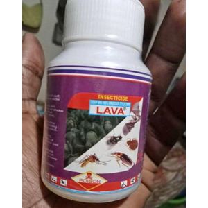 Lava Bedbugs And Cockroaches Insecticide//ORIGINAL KNOCK DOWN FORMULA