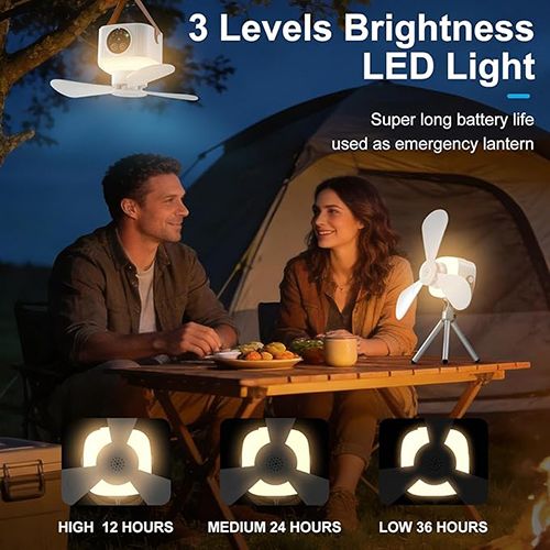 Portable Camping Ceiling Fan,LED Hanging Tent Fan With Remote&Timer,  Rechargeable Battery, 360° Adjustable Head, 4 Speeds&Brightness for Tent,Camping,RV,Travel,BBQ,Fishing