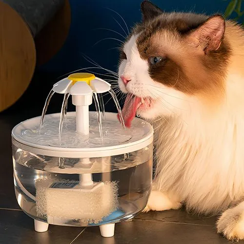 Dog/Cat Flower Circulation Water Dispenser Automatic Filter Live Water Flow Water Feeder Plug-in Drinking Water pet Supplies