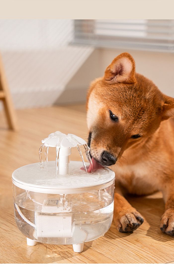 Dog/Cat Flower Circulation Water Dispenser Automatic Filter Live Water Flow Water Feeder Plug-in Drinking Water pet Supplies