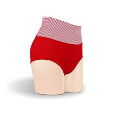 6 Pcs Ladies Cotton Stretchy Seamless Panties – Soft Breathable No Show Underwear Set for Women with Full Coverage & Comfort Fit – Assorted Colors