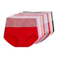 6 Pcs Ladies Cotton Stretchy Seamless Panties – Soft Breathable No Show Underwear Set for Women with Full Coverage & Comfort Fit – Assorted Colors