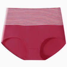 6 Pcs Ladies Cotton Stretchy Seamless Panties – Soft Breathable No Show Underwear Set for Women with Full Coverage & Comfort Fit – Assorted Colors