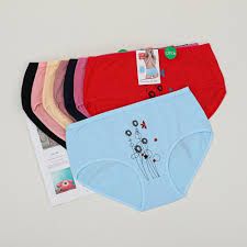 AD Fashion Style 6 Pcs Pure Cotton Seamless Ladies Pants – Soft Breathable No-Show Underwear Set for Women with Full Coverage & Comfort Fit – Assorted Colors