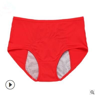 Menstrual Panties Women Sexy Pants Leak Proof Incontinence Underwear Period Proof Briefs High Waist Warm Female & FZ-362