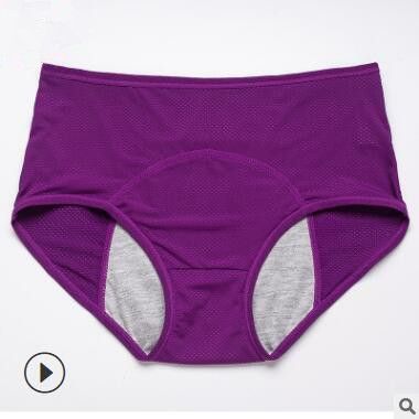 Menstrual Panties Women Sexy Pants Leak Proof Incontinence Underwear Period Proof Briefs High Waist Warm Female & FZ-362