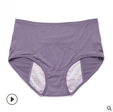 Menstrual Panties Women Sexy Pants Leak Proof Incontinence Underwear Period Proof Briefs High Waist Warm Female & FZ-362