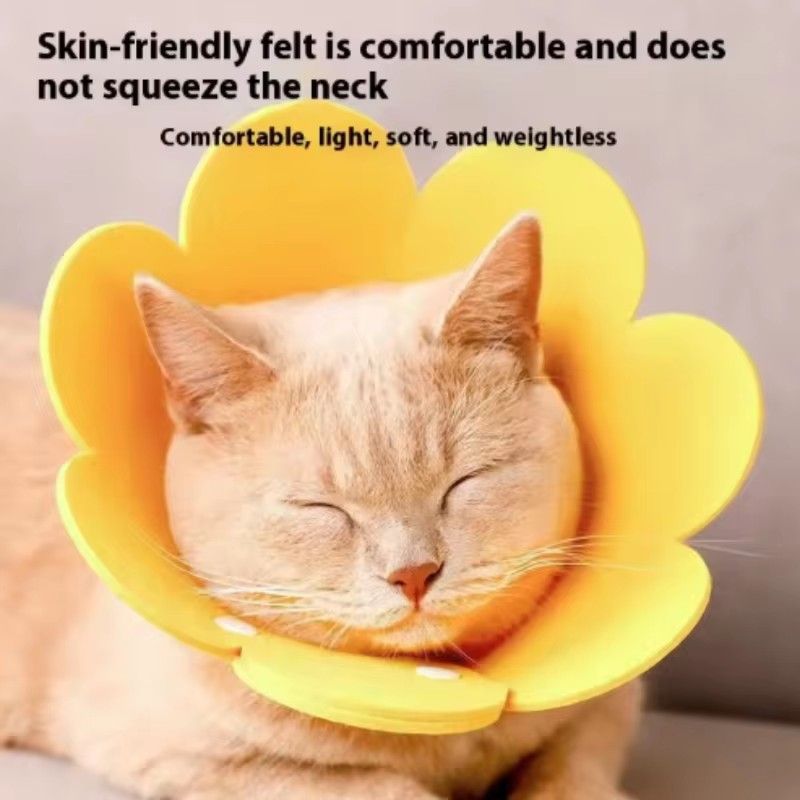 Cute Flower Shaped Cat Recovery Collars Adjustable Elizabethan Collars Puppy Kitten Anti-bite Healing Protective Collars
