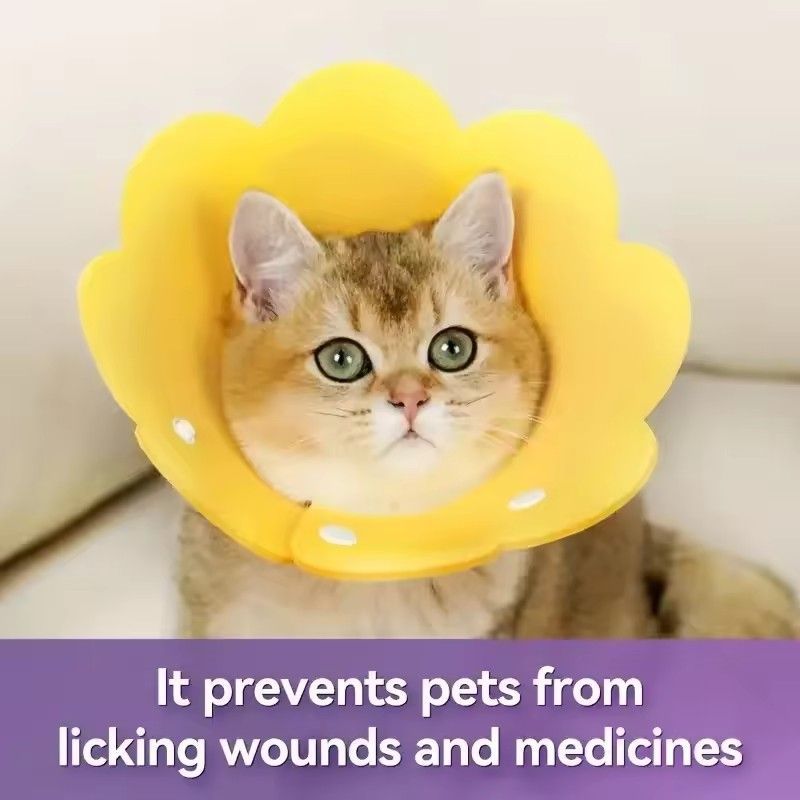 Cute Flower Shaped Cat Recovery Collars Adjustable Elizabethan Collars Puppy Kitten Anti-bite Healing Protective Collars