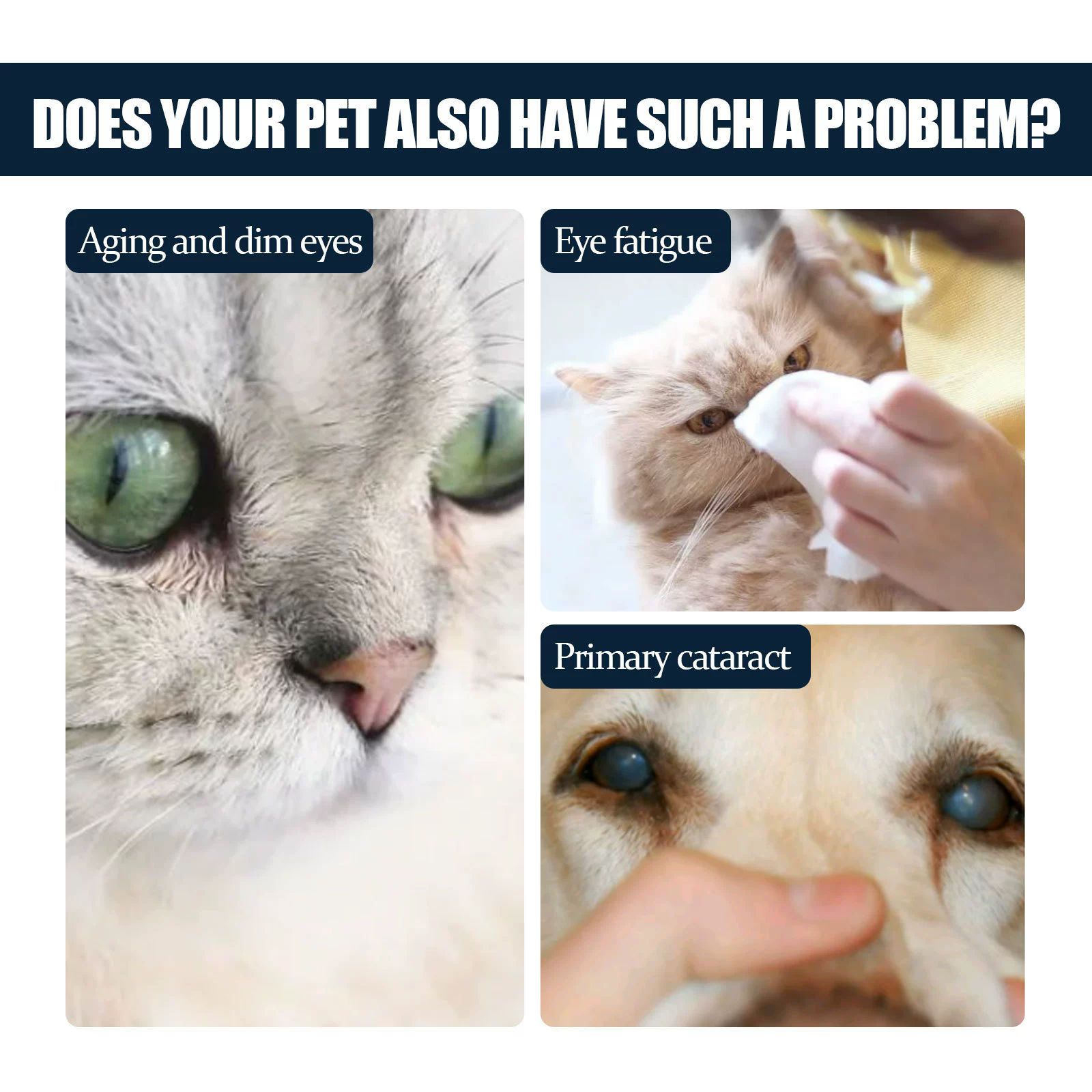 Cat and dog tear removal, relief of eye itching, gentle cleaning, clear face, eye drops