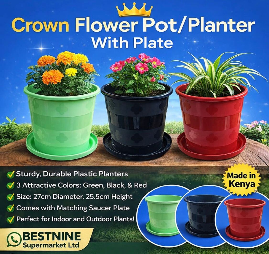 Crown Flower Pot / Planter with Plate