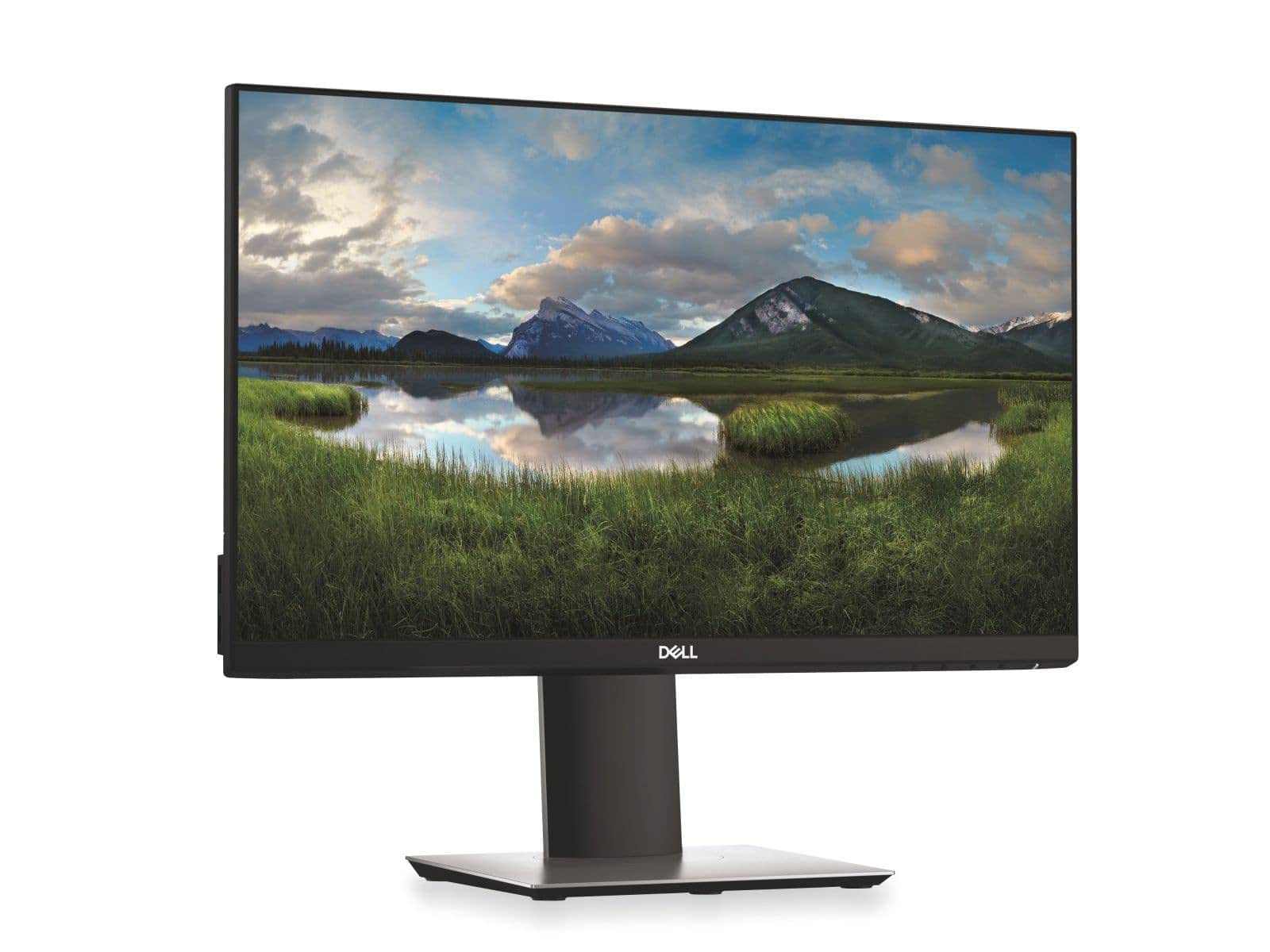 Dell UltraSharp U2212 22-Inch Monitor: Full HD 1920x1200, IPS Panel, Wide Viewing Angle, Adjustable Stand, DisplayPort, DVI, VGA,4 USB Hubs, and Energy Efficient Computer Monitor