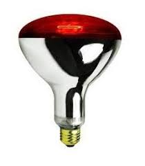 Chicken Infrared RED heat lamp light bulb + Free Porcelain Holder