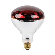 Chicken Infrared RED heat lamp light bulb + Free Porcelain Holder