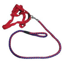 Elegant Complete Set Dog Leash, Harness, and Collar – Beautiful and Classy Design, Medium Size, Available in 3 Stunning Colors for Comfortable and Stylish Pet Outings