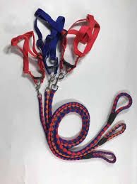 Elegant Complete Set Dog Leash, Harness, and Collar – Beautiful and Classy Design, Medium Size, Available in 3 Stunning Colors for Comfortable and Stylish Pet Outings