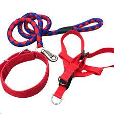 Elegant Complete Set Dog Leash, Harness, and Collar – Beautiful and Classy Design, Medium Size, Available in 3 Stunning Colors for Comfortable and Stylish Pet Outings