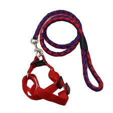 Elegant Complete Set Dog Leash, Harness, and Collar – Beautiful and Classy Design, Medium Size, Available in 3 Stunning Colors for Comfortable and Stylish Pet Outings