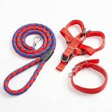 Elegant Complete Set Dog Leash, Harness, and Collar – Beautiful and Classy Design, Medium Size, Available in 3 Stunning Colors for Comfortable and Stylish Pet Outings