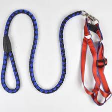 Elegant Complete Set Dog Leash, Harness, and Collar – Beautiful and Classy Design, Medium Size, Available in 3 Stunning Colors for Comfortable and Stylish Pet Outings