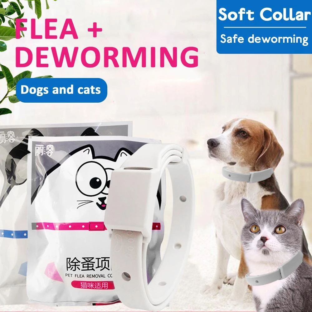 Anti Flea Tick Collar For Cat Small Dog Antiparasitic 8Month Protection Adjustable Puppy Kitten Collar Breakaway Pet Accessories C-494