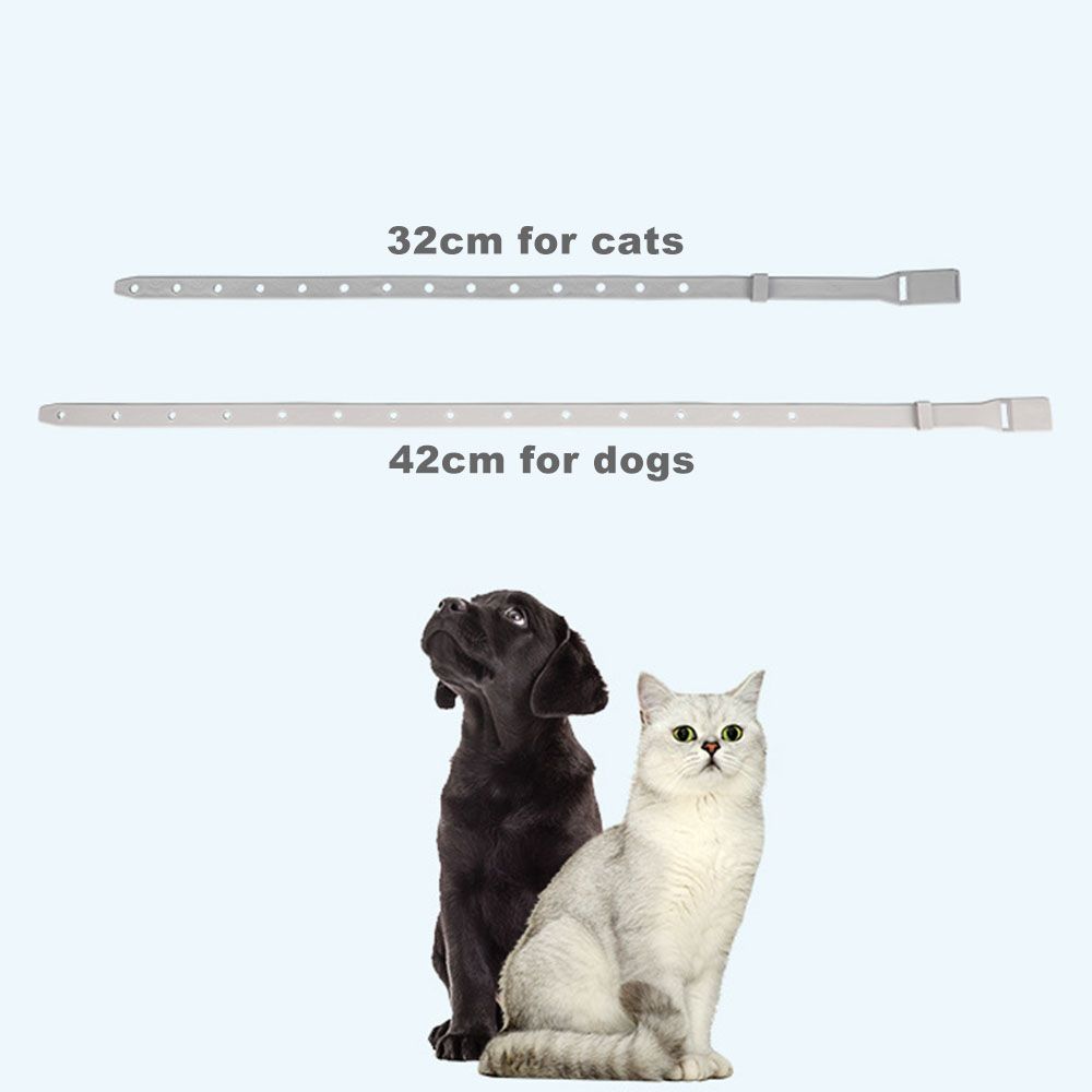 Anti Flea Tick Collar For Cat Small Dog Antiparasitic 8Month Protection Adjustable Puppy Kitten Collar Breakaway Pet Accessories C-494