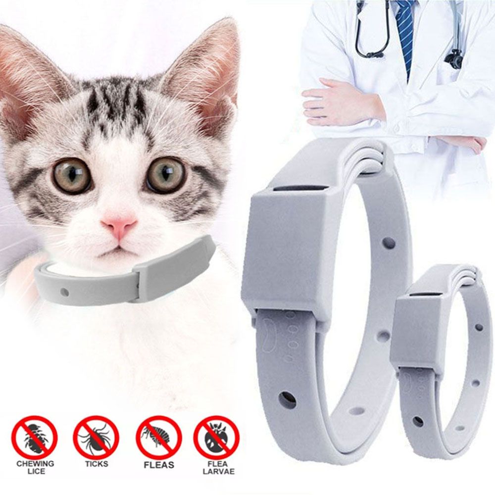 Anti Flea Tick Collar For Cat Small Dog Antiparasitic 8Month Protection Adjustable Puppy Kitten Collar Breakaway Pet Accessories C-494