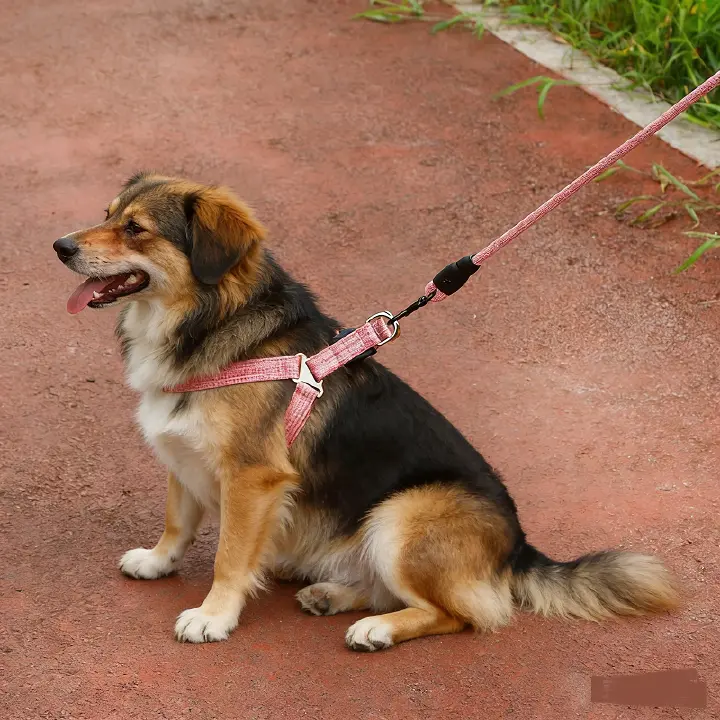 Adjustable dog collar/leash/bridle set, anti-burst dog leash, medium and large breed, in stock, anti-lost.