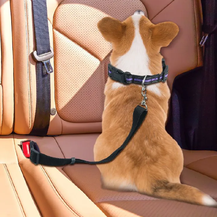 Cross-border car pet supplies, cat and dog seat belts, leashes, pet collars, Amazon best-selling items