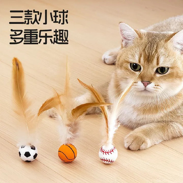 New and best-selling pet supplies: cat toys, feather bouncy balls, fun toys for cats and dogs.