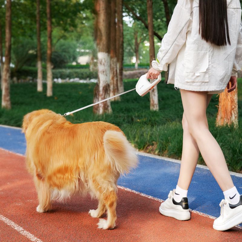 Geometric Hardcore Pet Leash 5M Rope for Outdoor Dog Walking, Automatic Retractable Leash for Medium and Large Cats and Dogs