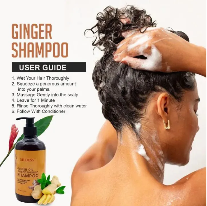 DR DESS Ginger Hair Shampoo Haircare for Healthy Hair Growth Scalp Soothing Hair Washing Shampoo for Hair, Nourishing Moisturizing Repair Make Smooth Glossy Best Hair Care