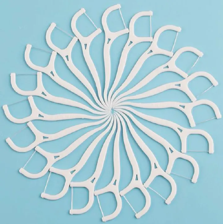 Dental Floss Picks Toothpicks – 2-in-1 Disposable Teeth Cleaning Floss Sticks for Oral Hygiene (50 PCS Pack)