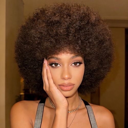 Afro Curly Wigs for Women Glueless Wear and Soft Afro Wigs Large Bouncy and Soft Natural Looking Full Wigs for Daily Party Cosplay