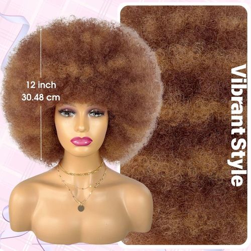 Afro Curly Wigs for Women Glueless Wear and Soft Afro Wigs Large Bouncy and Soft Natural Looking Full Wigs for Daily Party Cosplay