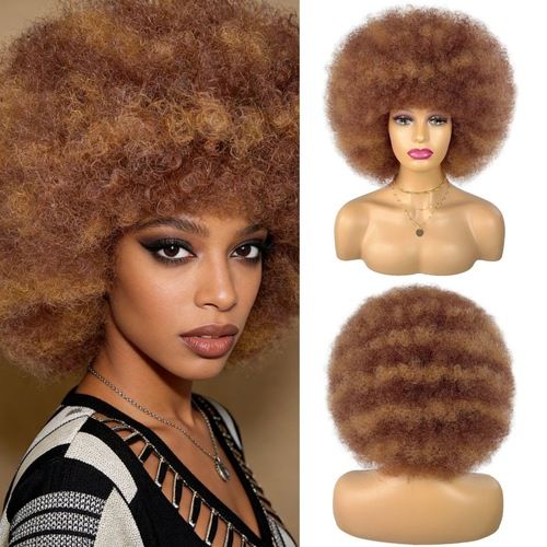 Afro Curly Wigs for Women Glueless Wear and Soft Afro Wigs Large Bouncy and Soft Natural Looking Full Wigs for Daily Party Cosplay
