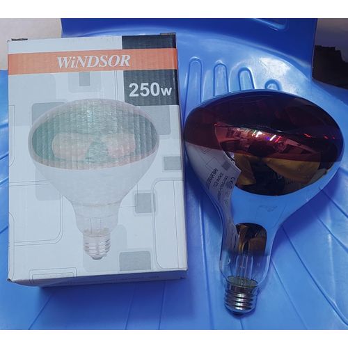 Poultry,chicken Bulb 250 Watts