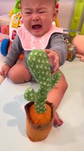 Dancing Cactus Baby Talking Repeats What You Say Boy Toys, Mimicking Toy with LED English Sing 15 Second Voice Recorder Musical-Rechargeable