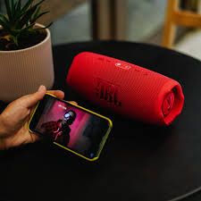 JBL 7S Portable Bluetooth Speaker with Deep Bass, IP67 Waterproof and Dustproof,long Playtime, Built-In Powerbank, Red