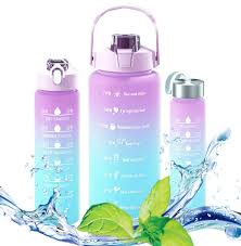 3 Pc Leak Proof Motivational Water Bottle With Straw & Stickers