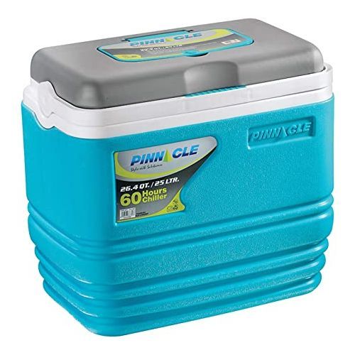 CLEARANCE OFFER 25 Litres Cooler Box/Chiller