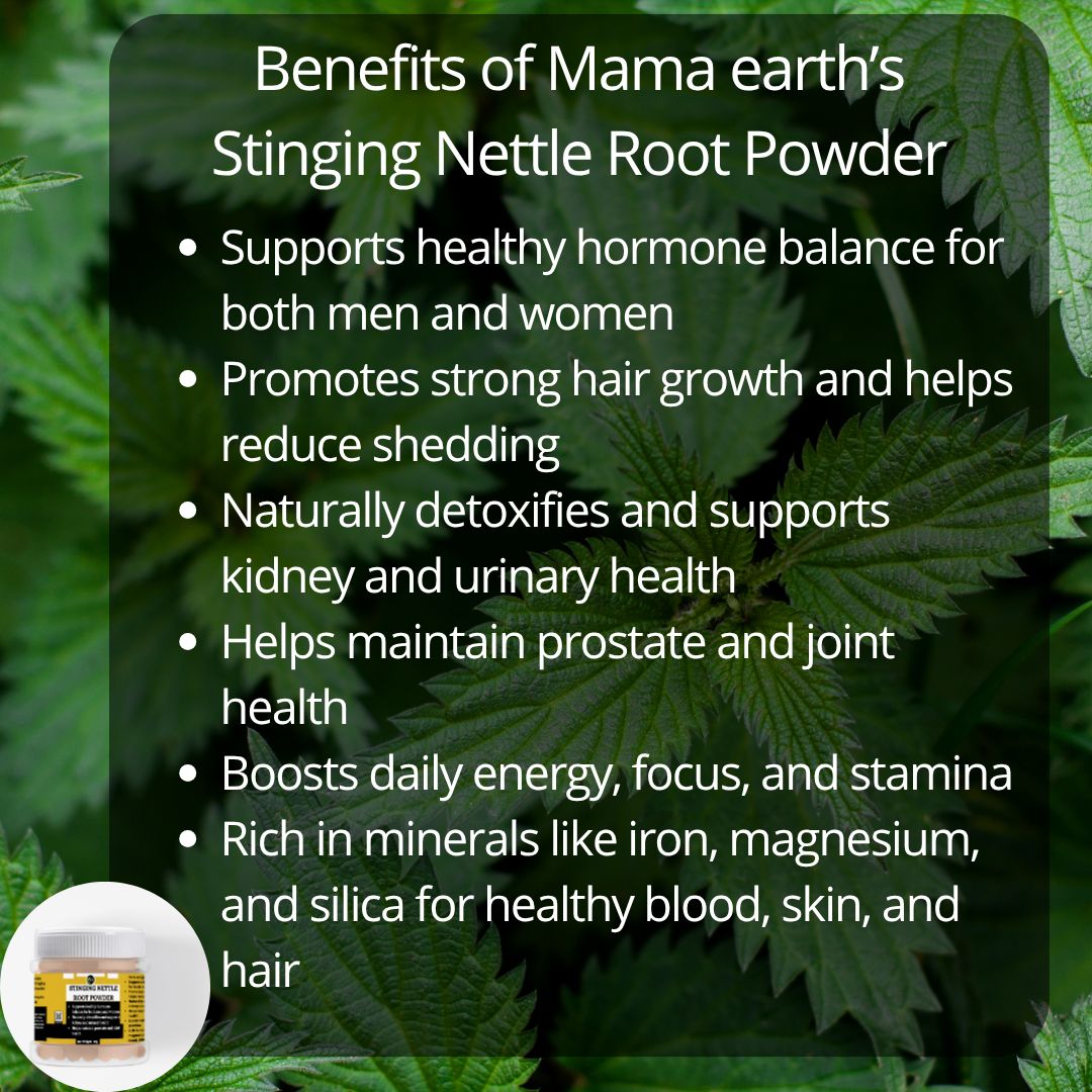 Stinging Nettle Root Powder - Supports healthy hormone balance,Helps maintain prostate and joint health