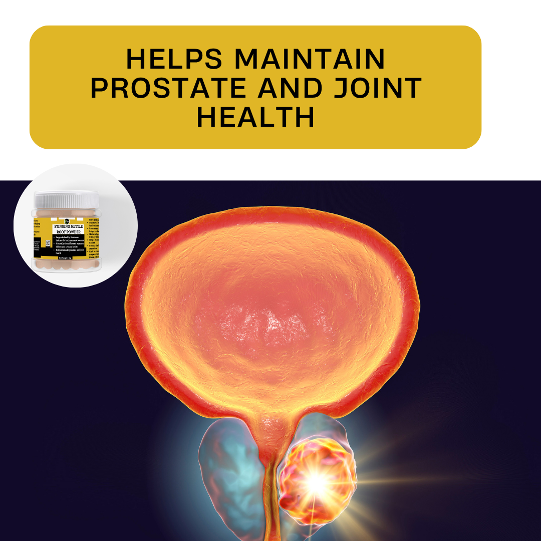 Stinging Nettle Root Powder - Supports healthy hormone balance,Helps maintain prostate and joint health