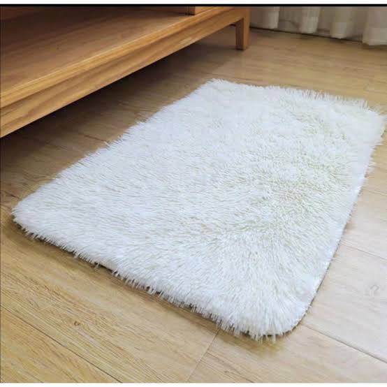CLEARANCE OFFER Fluffy Absorbent Door Mats